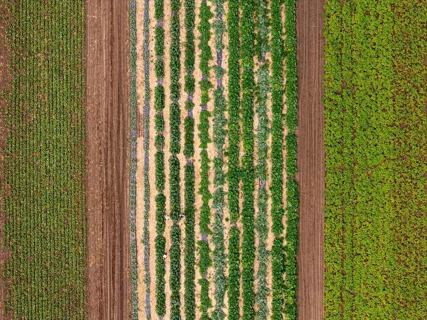 Miejska Farma Wrocławia