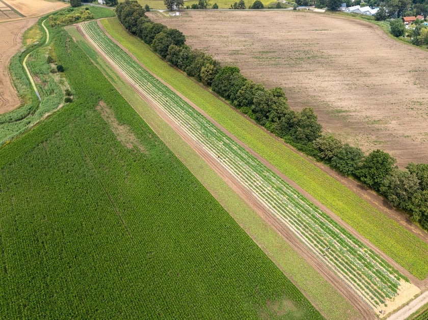 Miejska Farma Wrocławia