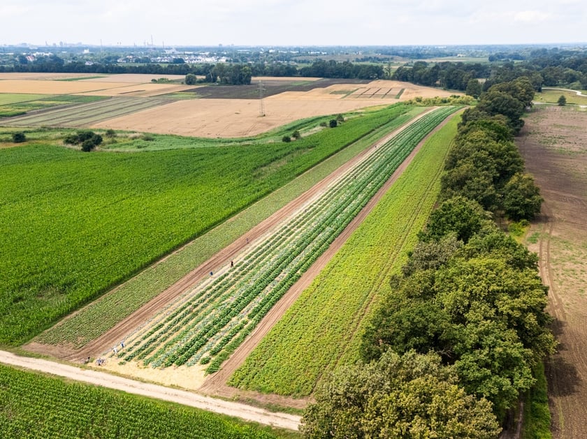 Miejska Farma Wrocławia