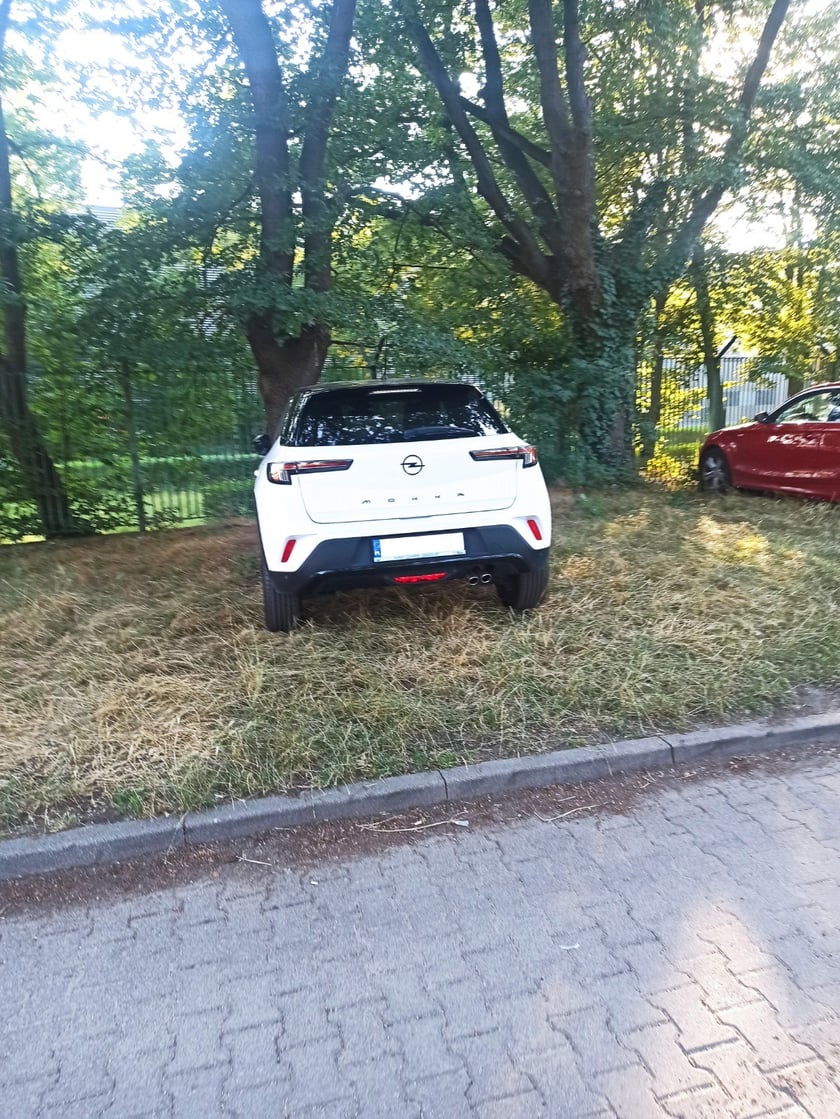 Przykłady nieprawidłowego parkowania
