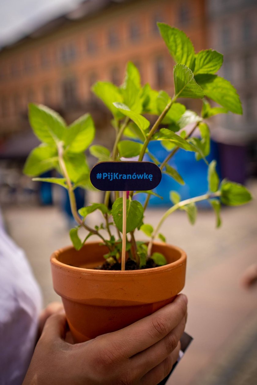 Hydropolis we Wrocławiu