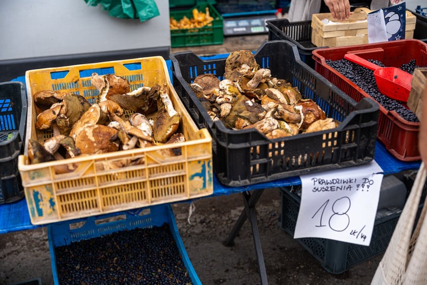Pchli targ "Na Młynie" pełen jest skarbów. Można je zdobyć - lub tylko pooglądać - w niedziele między godz. 6 a 15