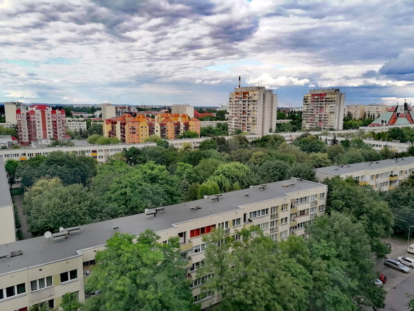 Zielony Szczepin