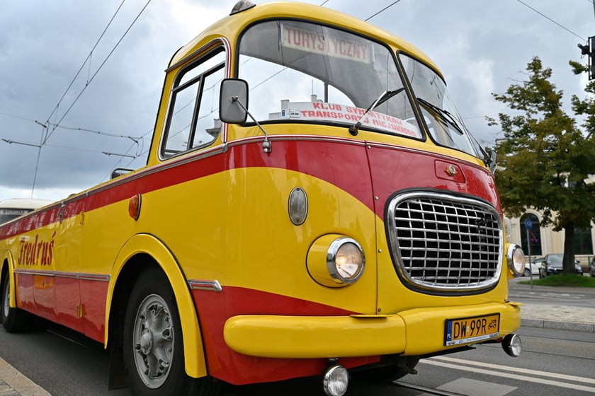 Fredruś, Jelcz-og&oacute;rek w wersji kabriolet, to jeden z symboli Wrocławia. Zdjęcie pochodzi z parady zabytkowych pojazd&oacute;w zorganizowanej z okazji otwarcia trasy na Nowy Dw&oacute;r (wrzesień 2023 rok)