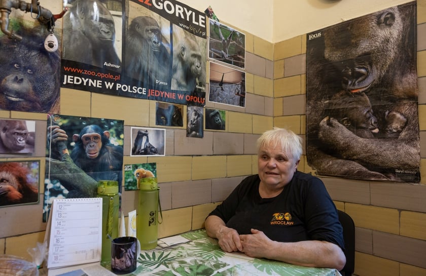 Elżbieta Gajewska na zapleczu małpiarni