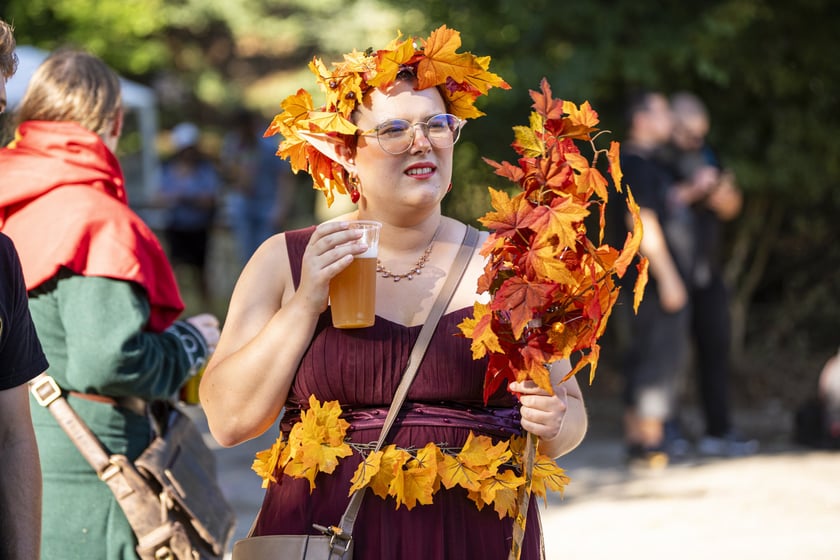 Dni Fantastyki 2024 - przebrani uczestnicy