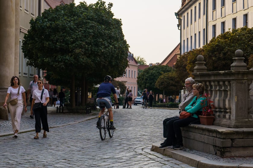 Mieszkańcy jednoczą się przy budowie wałów w okolicach Ostrowa Tumskiego