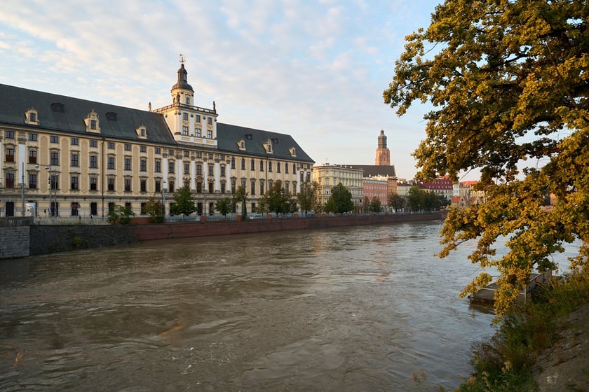 Odra we Wrocławiu, czwartek, 19 września rano