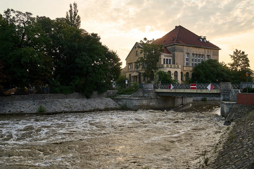 Odra we Wrocławiu, czwartek, 19 września rano