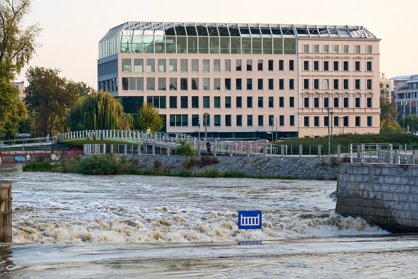Odra we Wrocławiu, czwartek, 19 września rano