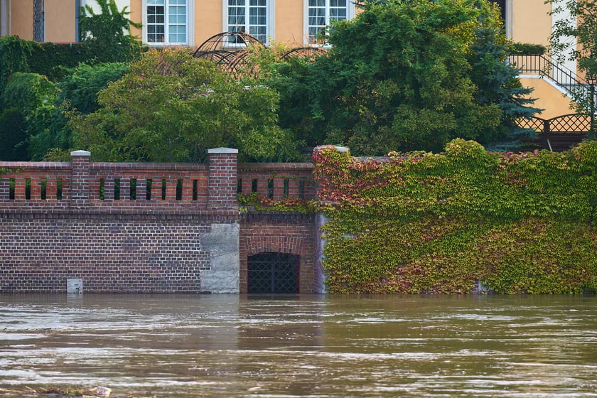 Odra we Wrocławiu, czwartek, 19 września rano