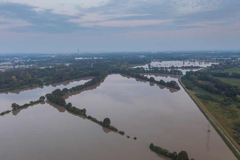 Polder Oławka i wylewająca się na wysokości Blizanowic na pola Odra - 19.09.2024