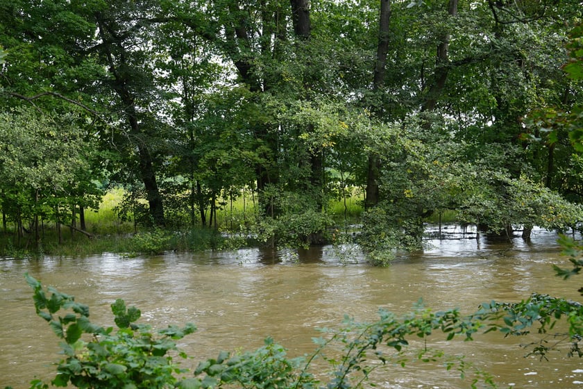 Marszowice nad Bystrzycą, 19 września 2024