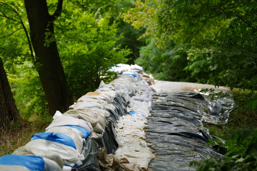 Marszowice nad Bystrzycą, 19 września 2024