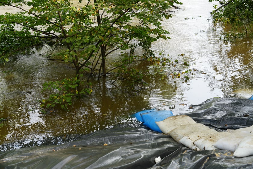 Marszowice nad Bystrzycą, 19 września 2024