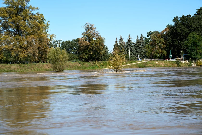 Patrol policyjny na Odrze we Wrocławiu
