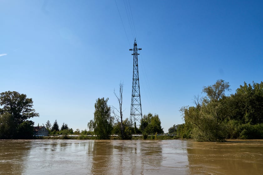Patrol policyjny na Odrze we Wrocławiu