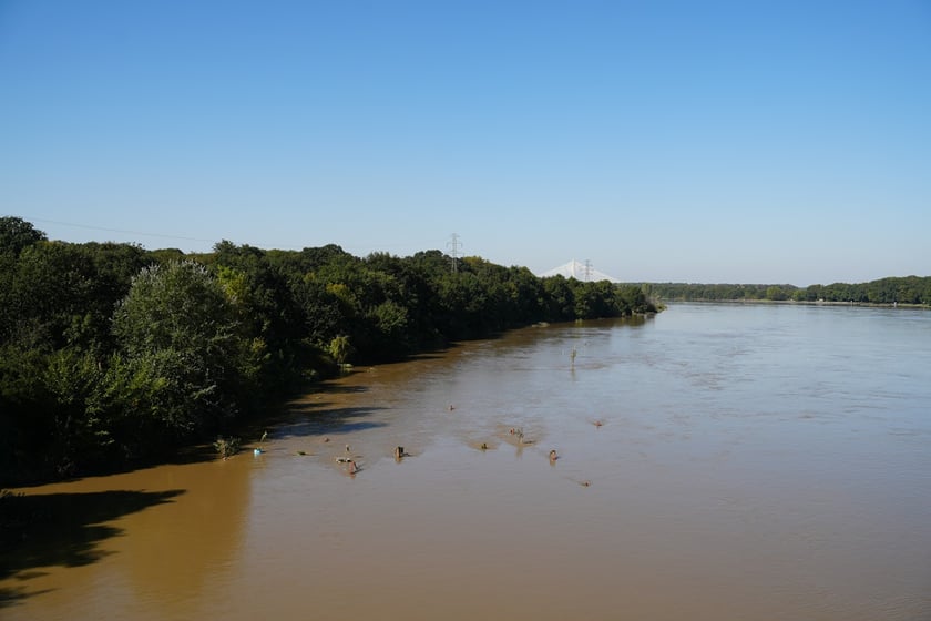 Most Milenijny nad Odrą we Wrocławiu: Dobry widok na Odrę
