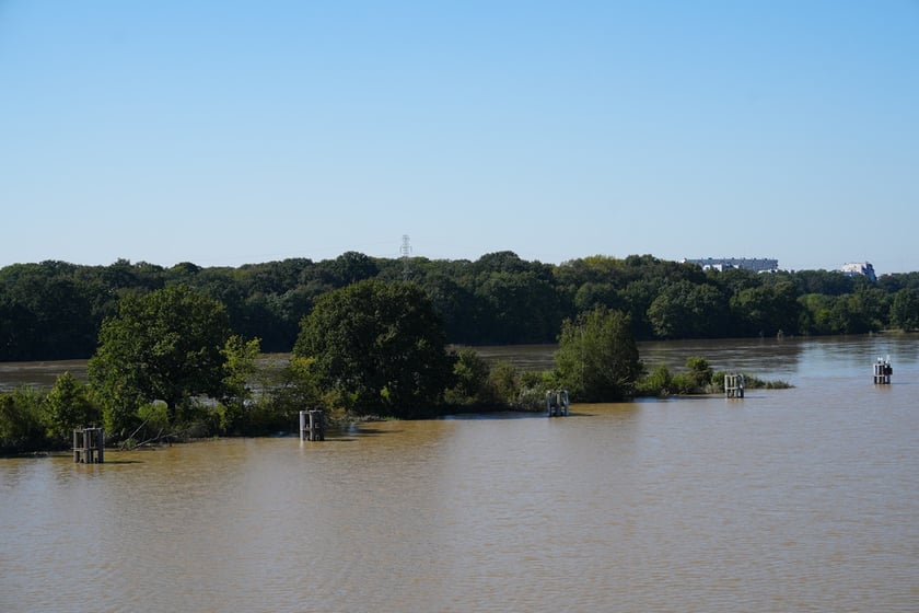 Most Milenijny nad Odrą we Wrocławiu: Dobry widok na Odrę
