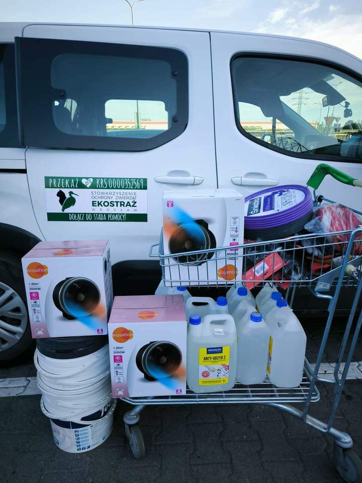 Wolontariusze Ekostaży z pomocą na Dolnym Śląsku