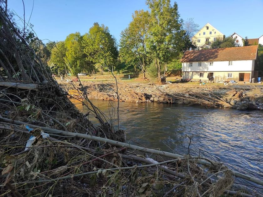 Wolontariusze Ekostaży z pomocą na Dolnym Śląsku