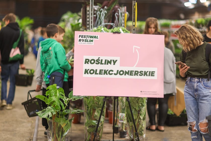 Festiwal Roślin we Wrocławiu - 28.09.2024