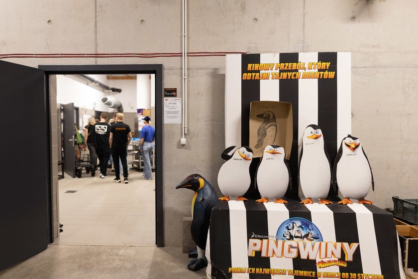 Nocowanie w Afrykarium