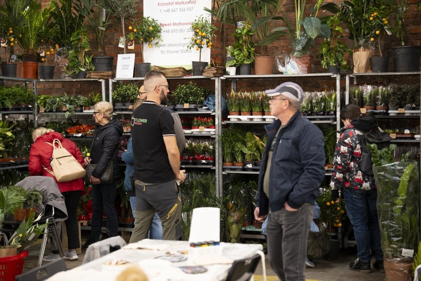 Festiwal Kupuj Świadomie w Czasoprzestrzeni (Zajezdnia Dąbie), czyli moda, kosmetyki, słodkości i rośliny do kupienia