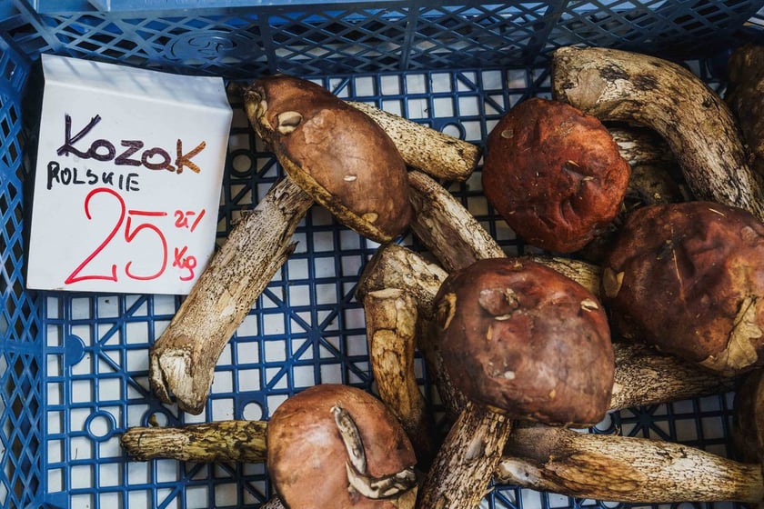 Stoiska z grzybami w Hali Targowej we Wrocławiu