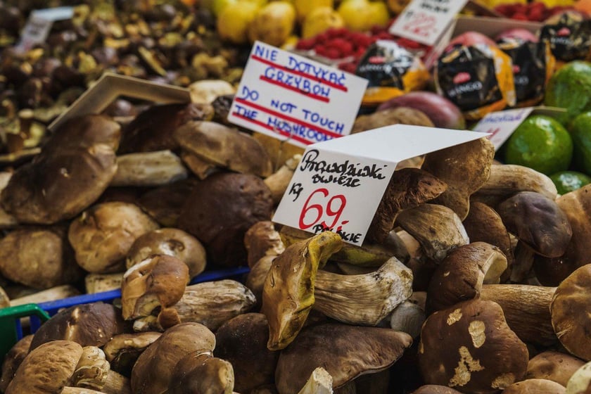 Stoiska z grzybami w Hali Targowej we Wrocławiu