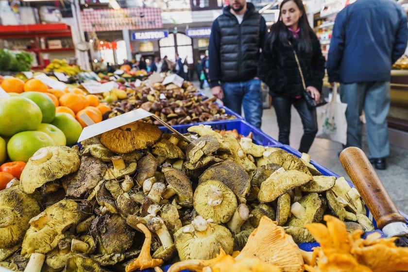 Stoiska z grzybami w Hali Targowej we Wrocławiu