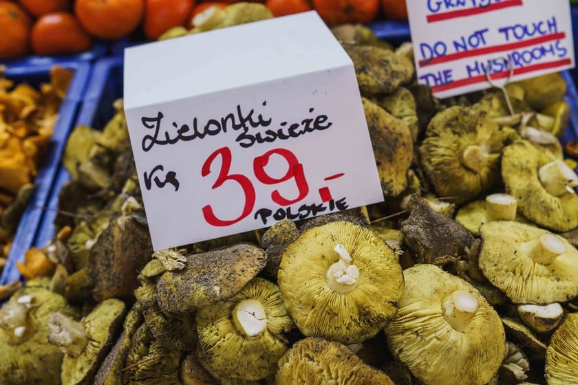 Stoiska z grzybami w Hali Targowej we Wrocławiu