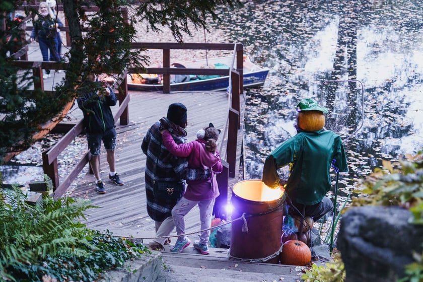 Dyniowe iluminacje w Ogrodzie Botanicznym we Wrocławiu
