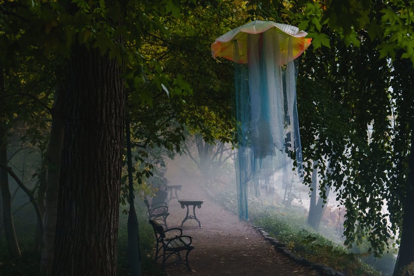 Dyniowe iluminacje w Ogrodzie Botanicznym we Wrocławiu