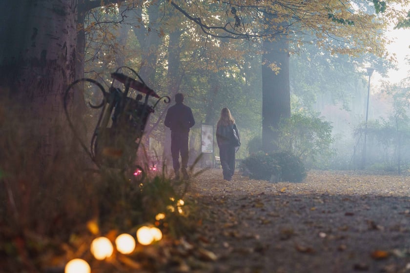 Dyniowe iluminacje w Ogrodzie Botanicznym we Wrocławiu