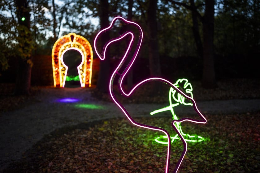 Lumina Park w Zamku Topacz pod Wrocławiem
