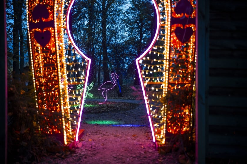 Lumina Park w Zamku Topacz pod Wrocławiem