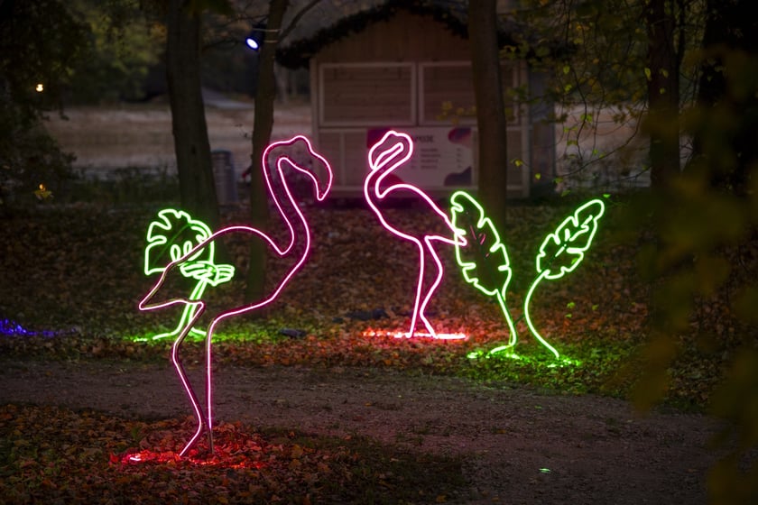 Lumina Park w Zamku Topacz pod Wrocławiem