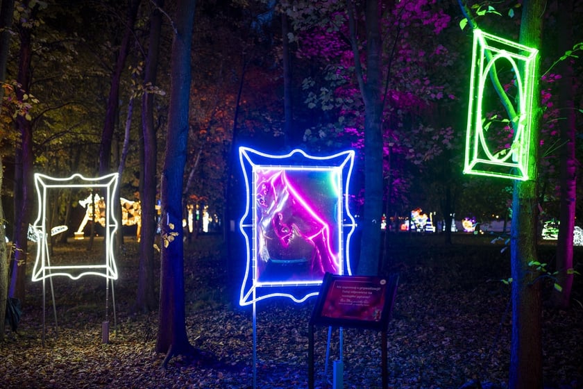 Lumina Park w Zamku Topacz pod Wrocławiem