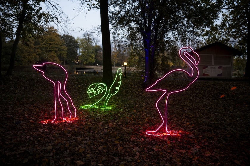 Lumina Park w Zamku Topacz pod Wrocławiem