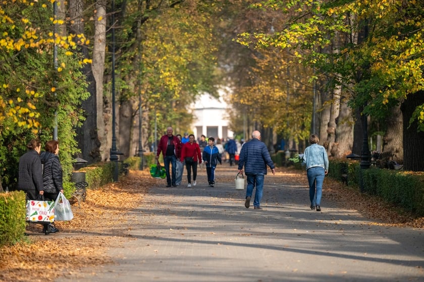 Przygotowania do Wszystkich Świętych na cmentarzu Osobowickim - 27.10.2024