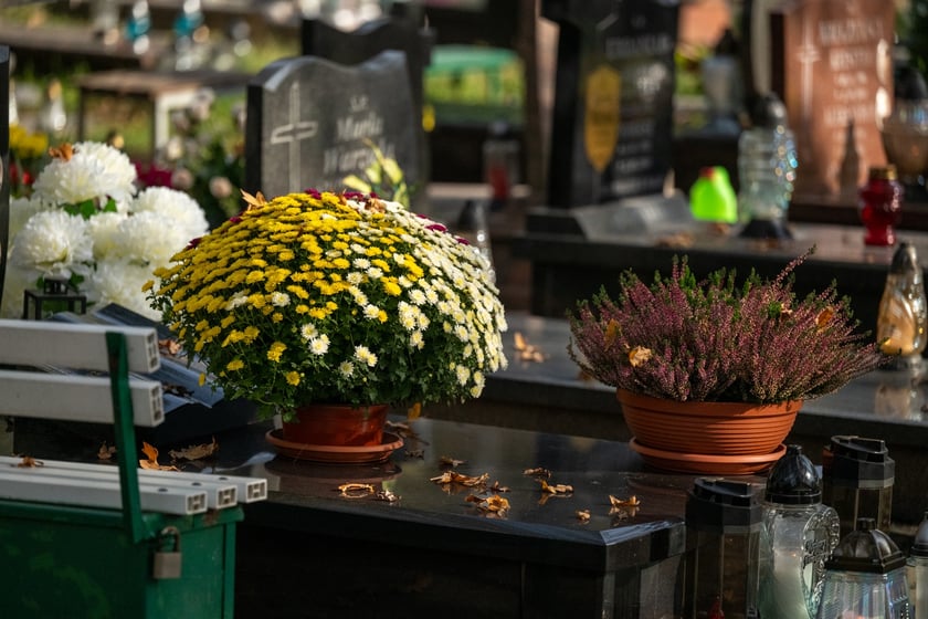 Przygotowania do Wszystkich Świętych na cmentarzu Osobowickim - 27.10.2024