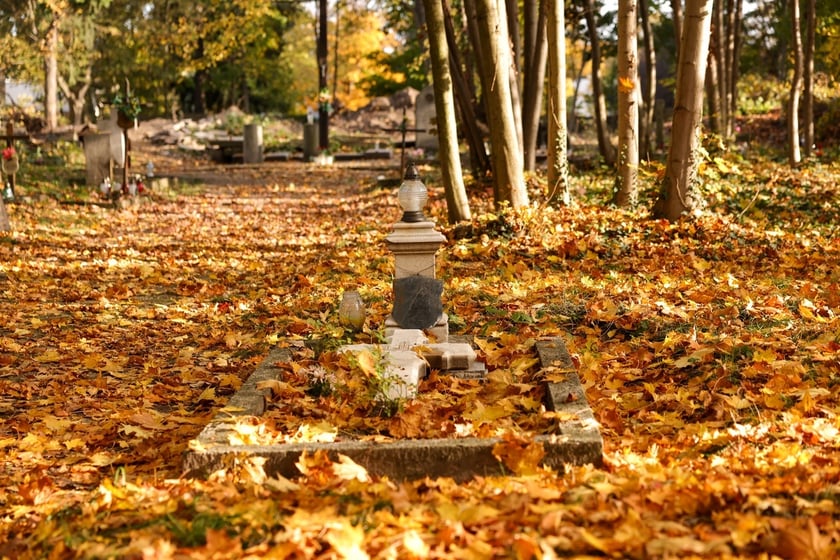 Stele odkryte na gruzowisko na cmentarzu przy ul. Krzyckiej na Krzykach