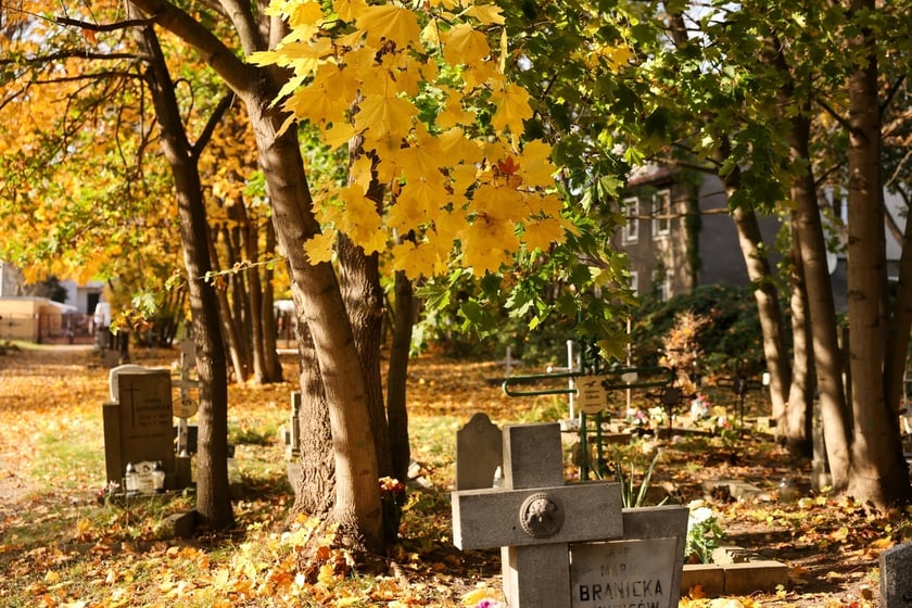 Stele odkryte na gruzowisko na cmentarzu przy ul. Krzyckiej na Krzykach