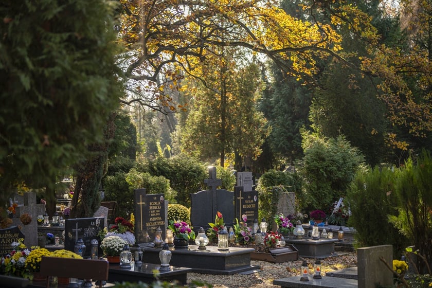 Tłumy na wrocławskich nekropoliach. Zobaczcie zdjęcia, 1 listopada 2024