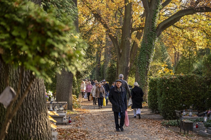 Tłumy na wrocławskich nekropoliach. Zobaczcie zdjęcia, 1 listopada 2024