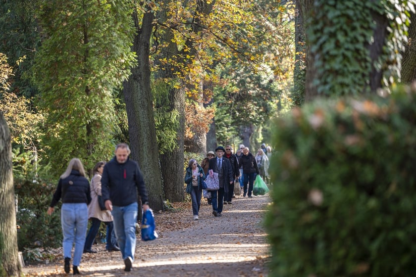 Tłumy na wrocławskich nekropoliach. Zobaczcie zdjęcia, 1 listopada 2024