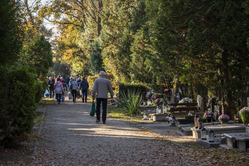 Tłumy na wrocławskich nekropoliach. Zobaczcie zdjęcia, 1 listopada 2024