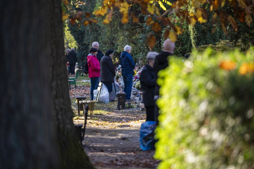 Tłumy na wrocławskich nekropoliach. Zobaczcie zdjęcia, 1 listopada 2024