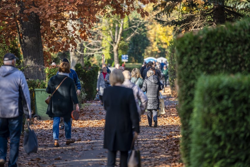 Tłumy na wrocławskich nekropoliach. Zobaczcie zdjęcia, 1 listopada 2024